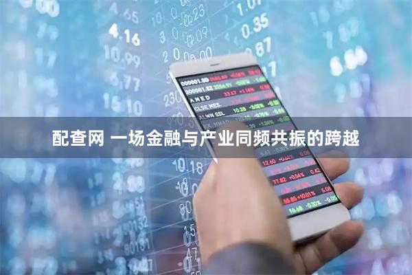 配查网 一场金融与产业同频共振的跨越