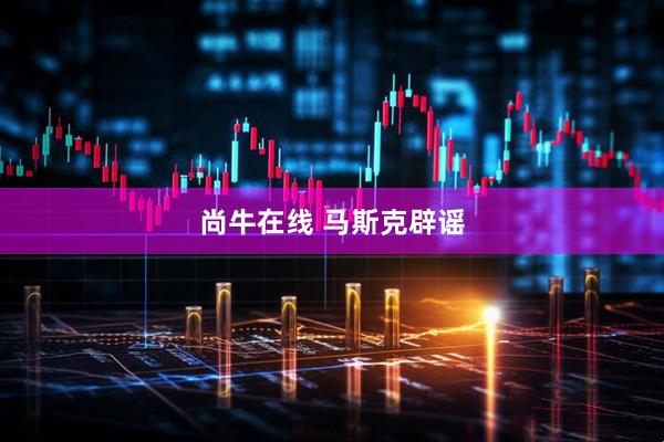 尚牛在线 马斯克辟谣