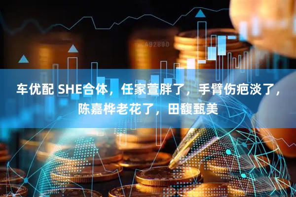 车优配 SHE合体，任家萱胖了，手臂伤疤淡了，陈嘉桦老花了，田馥甄美