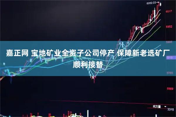 嘉正网 宝地矿业全资子公司停产 保障新老选矿厂顺利接替